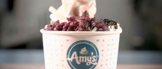 plaatsen om ambachtelijke yoghurt te vinden rotterdam Amy's Frozen Yoghurt Rotterdam