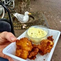 tour covers rotterdam Bike & Bite Food Tours