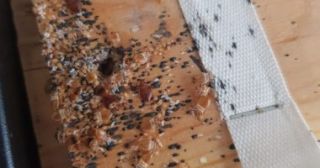 fumigatie bedrijven kakkerlakken rotterdam Suurd Pest Control B.V.