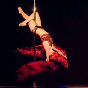 paaldans cursussen rotterdam Pole Inspiration Dance Studio