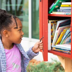 library networks in rotterdam Little Free Library Delfgauw