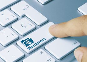 wordpress programmeur specialisten rotterdam Henk Kuiper Webs
