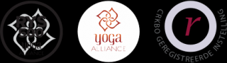 iyengar lessen rotterdam Yoga Vidya Rotterdam