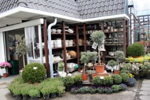winkels om terrasplanten te kopen rotterdam Tuincentrum De Molen B.V.