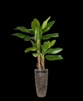 winkels om kunstplanten te kopen rotterdam Florafy Kunstplanten - Artificial Plants