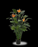 winkels om kunstplanten te kopen rotterdam Florafy Kunstplanten - Artificial Plants