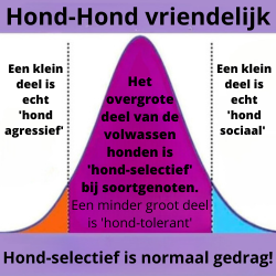 hondentrainingslessen rotterdam Handle with Care - holistisch hondencoach - (interne) hondentraining - board and train Rotterdam