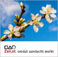 gratis meditatie centra rotterdam Zen.nl Rotterdam