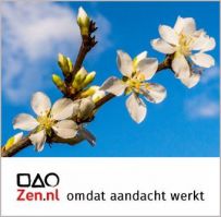 gratis meditatie centra rotterdam Zen.nl Rotterdam