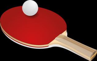 ping pong lessen rotterdam Tafeltennisvereniging 